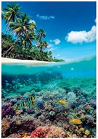Clementoni Puzzle 1000 Teile Sommerparadies HQC Erwachsene-2