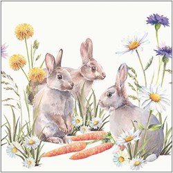 Ambiente Papierservietten Carrot treat 33x33cm weiß Dekoration