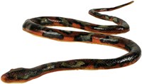 Johntoy Soft Touch Schlange Spielzeug Viper 135 cm mehrfarbig-2