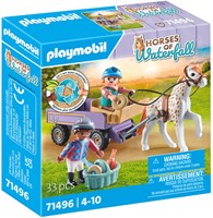 Ponykoets