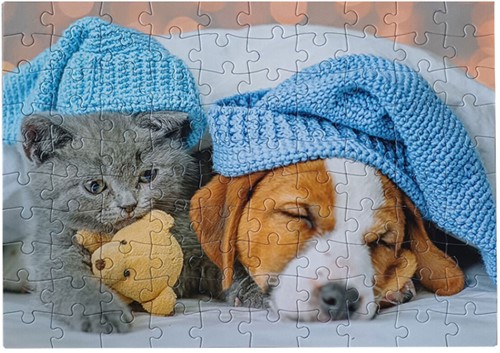 Legpuzzel Cute Kitten and Sleepy Dog, 100st.-3