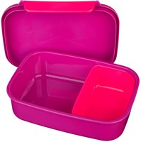 LOL Lunchbox-2