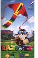 Knoop Kites Drachen Mini Delta Regenbogen mit Schwanz 52x30cm Kinder