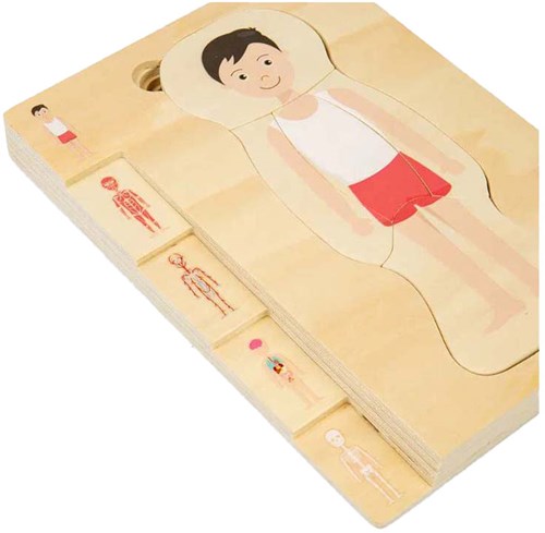 BigJigs Holz Anatomie Puzzle Junge Lernspielzeug 26 Teile-3