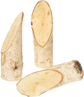Birch trunk set of 5