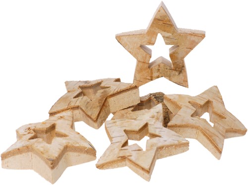 Nature wood slices star outline set of 6