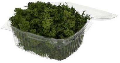 HBX natural living Rentiermoos grün Dekoration 50 Gramm Moos