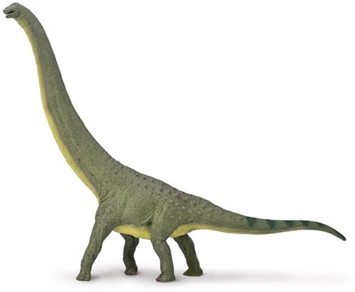 COLLECTA Dreadnoughtus – 1:100-2