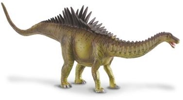 COLLECTA Agustinia - (L)