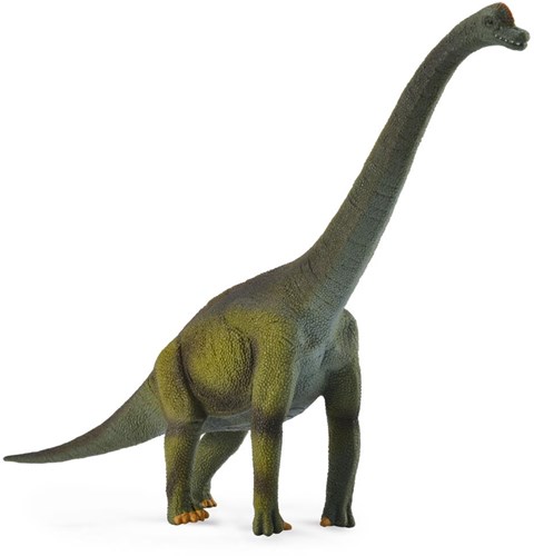 Collecta Brachiosaurus Dinosaurier Spielfigur grün - große Ausführung-2