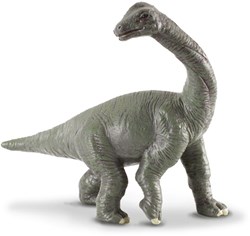 COLLECTA Brachiosaurus Baby - (S)