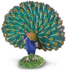 COLLECTA Pfau - (L)