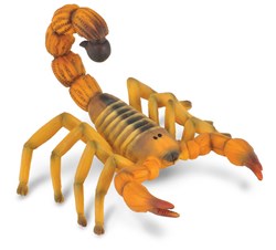 Collecta Skorpion Spielfigur - realistisches Kunststoffmodell (M)