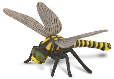 COLLECTA Libelle - (L)-2