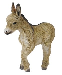 COLLECTA Eselfohlen beim Gehen - (S)