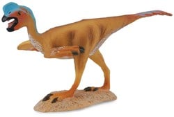 COLLECTA Schildkröte - (M)
