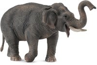 COLLECTA Asiatischer Elefant - (XL)