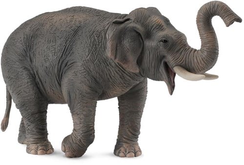 COLLECTA Asiatischer Elefant - (XL)-2