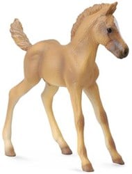 COLLECTA Haflinger Fohlen - (M)