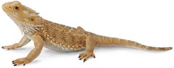 COLLECTA Eidechse Bartagamen - (L)