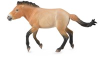 COLLECTA Przewalski-Hengst – (XL)-2