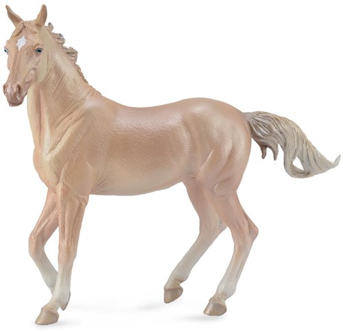 COLLECTA Achal-Tekkiner Stute Perlino - (XL)-2