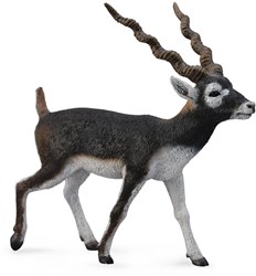 COLLECTA Antilope Black Buck - (L)