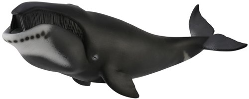 COLLECTA Grönlandwal - (XL)