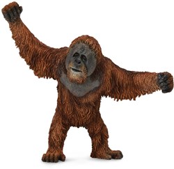COLLECTA Orang-Utan - (L)
