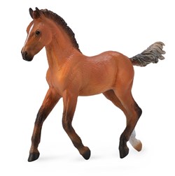COLLECTA Hannoveraner Fohlen - (M)