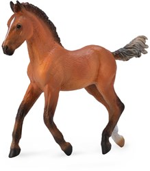 COLLECTA Hannoveraner Fohlen - (M)