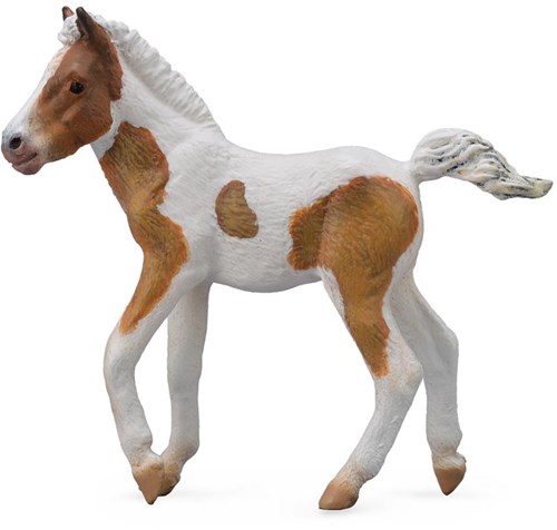 Collecta Pferde Dartmoor Hill Fohlen Spielfigur - M - realistisch