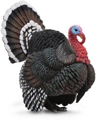 COLLECTA Türkei - (L)