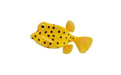 COLLECTA Gelber Kofferfisch - (S)