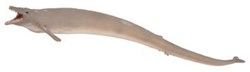 COLLECTA Basilosaurus - (XL)