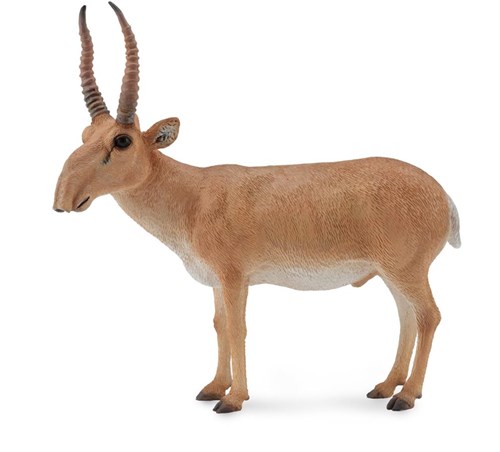 COLLECTA Saiga-Antilope - (L)-2