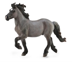 COLLECTA Isländischer Hengst Wild Color - (XL)