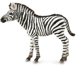 COLLECTA Zebrafohlen - (M)