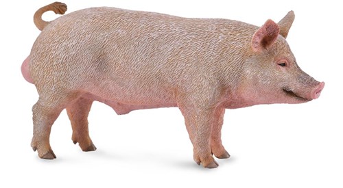 COLLECTA Männliches Schwein - Bier - (M)