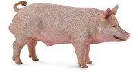 COLLECTA Männliches Schwein - Bier - (M)-2