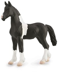 COLLECTA Barock Pinto Fohlen - 1:20