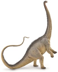 COLLECTA Diplodocus - (XL)