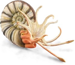 COLLECTA Pleuroceras Ammonit - (XL)