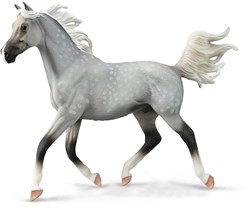 Collecta Pferde-Spielfigur Halb Arabischer Hengst 1-12 Kunststoff