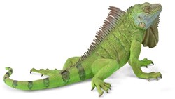 COLLECTA Grüner Leguan - (XL)