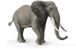 COLLECTA Afrikanischer Elefant - (XL)
