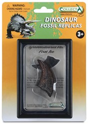 COLLECTA Geschenkset - Vorgeschichte