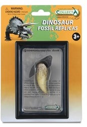 COLLECTA Geschenkset - Vorgeschichte