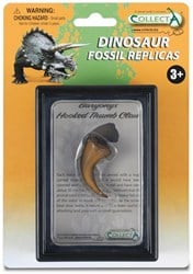 COLLECTA Geschenkset - Vorgeschichte