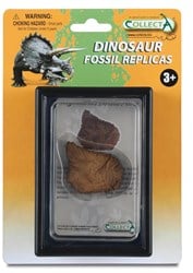 COLLECTA Geschenkset - Vorgeschichte